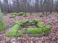 6  Saverne LE WASSERWALD 05 03 2017 27